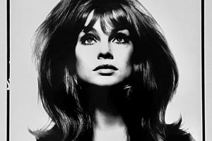 David Bailey