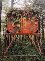 Forest Cabin by Nona Garcia contemporary artwork painting works on paper