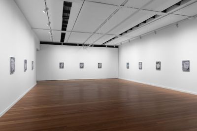 The Many Masks of David Noonan at Roslyn Oxley9 Gallery
