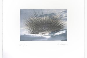 Arnulf Rainer