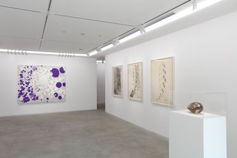 Natsuyuki Nakanishi's Art For Sale, Exhibitions & Biography