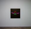 Future Herbarium by Laurent Grasso contemporary artwork Sculpture