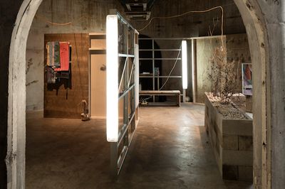 Three exhibitions you must see in Auckland now
