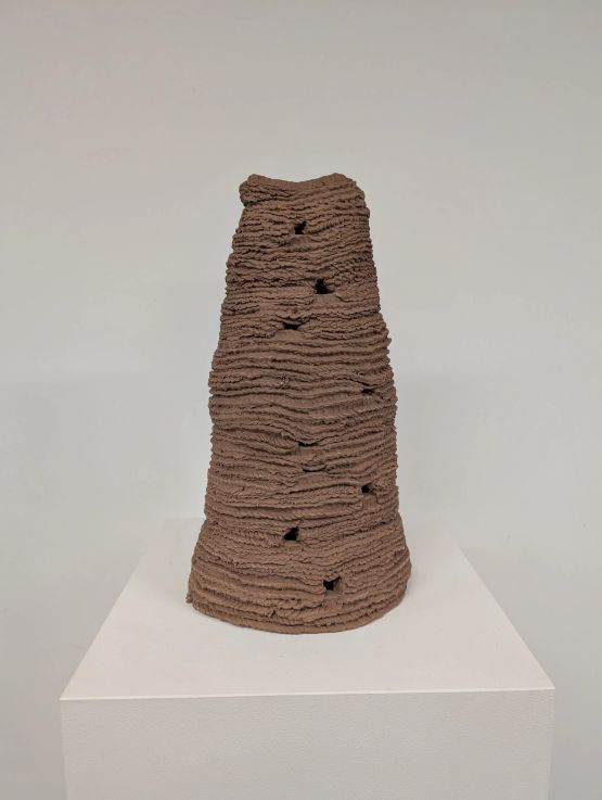 Untitled from the series Cupinzeiros by Lidia Lisboa contemporary artwork Sculpture
