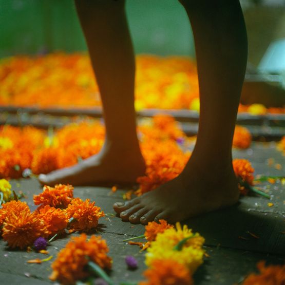 Les pieds aux illets dInde a Calcutta Inde by Denis Dailleux contemporary artwork Photography