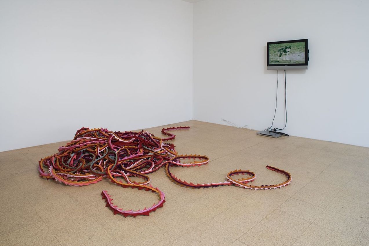 Diana Thater, Paul Winstanley