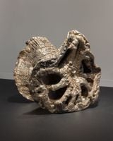 Root II by Lotus L. Kang contemporary artwork sculpture