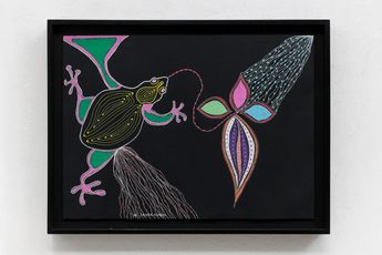 Jaider Esbell contemporary artist