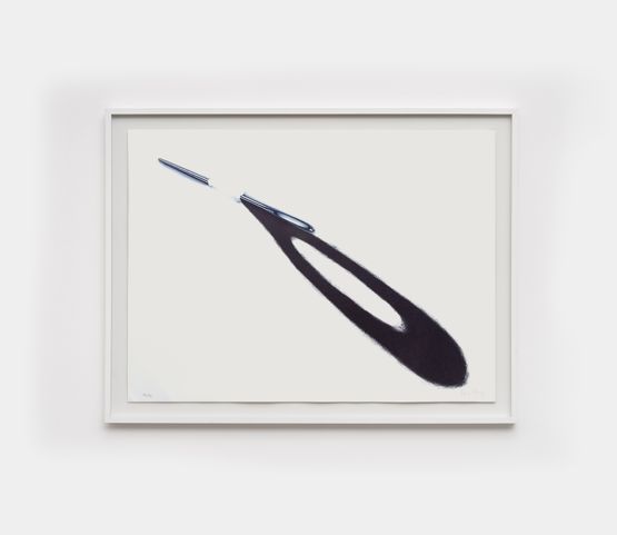 Agulha da serie from the series Armarinhos by Regina Silveira contemporary artwork Works on Paper