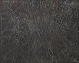 My Jungle No.2 by Wang Chuan contemporary artwork painting