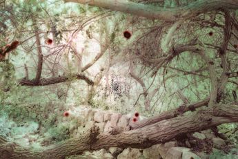 Rula Halawani contemporary artist