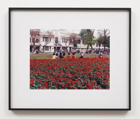 Garden Hanoi by Joe Zorrilla contemporary artwork Photography