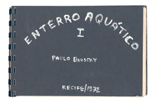 Paulo Bruscky