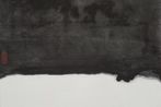 Xia Qingyong contemporary artist