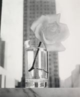Vogue Cover - Rose by Irving Penn contemporary artwork photography sculpture