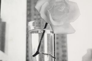 Irving Penn