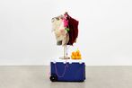 Rachel Harrison contemporary artist