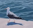 The Walking Seagull by Long Quan contemporary artwork Painting