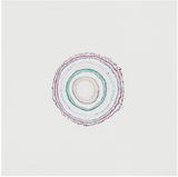 Timekeeper by Pierre Huyghe contemporary artwork drawing works on paper