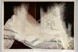 Amie Dicke