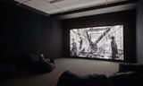 blue orchids  by Johan Grimonprez contemporary artwork moving image