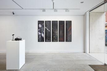Mbryonic contemporary artist