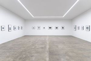 Marti Friedlander