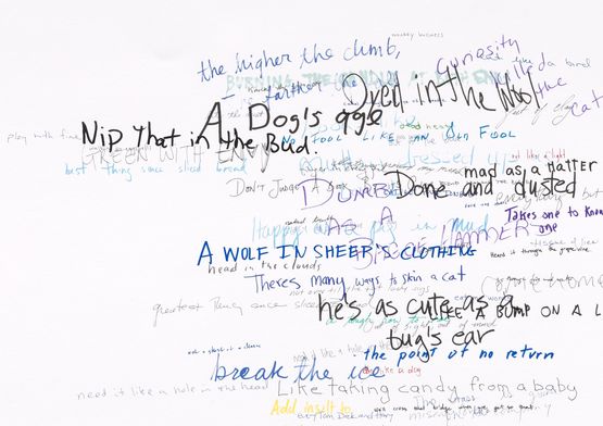 Wits End Mash get under my skin by Roni Horn contemporary artwork Works on Paper