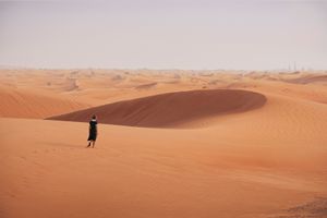 Isaac Julien
