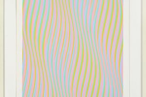 Bridget Riley