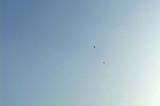 Kites Flirts by Cao Guimaraes contemporary artwork moving image