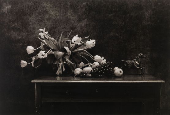 Still life in my garden shed by Don Mccullin contemporary artwork Photography
