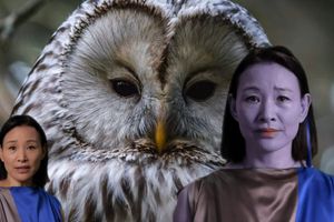 Lynn Hershman Leeson
