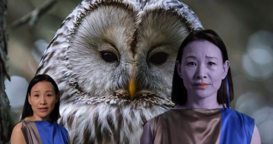 Logic Paralyzes the Heart by Lynn Hershman Leeson contemporary artwork Moving Image