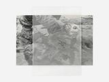 Study on Gestures by Yu Ji contemporary artwork print works on paper