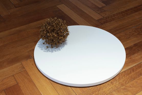 Skin of the Earth by Fatos Irwen contemporary artwork Sculpture