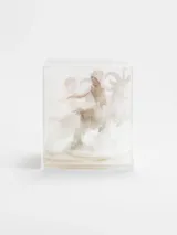 Prism ChildGoat by Kohei Nawa contemporary artwork mixed media