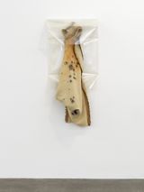 Toolshed Wood Stain by Liz Magor contemporary artwork mixed media