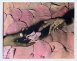 Meet Meat by Elaine Stocki contemporary artwork photography