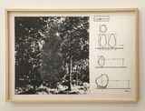 Cut off Plan The Tree by Katsuro Yoshida contemporary artwork works on paper print