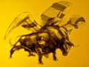 YELLOW BULL by Ronald Ventura contemporary artwork Painting