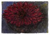 Groe rote Dahlien-Blute by Christian Rohlfs contemporary artwork works on paper drawing