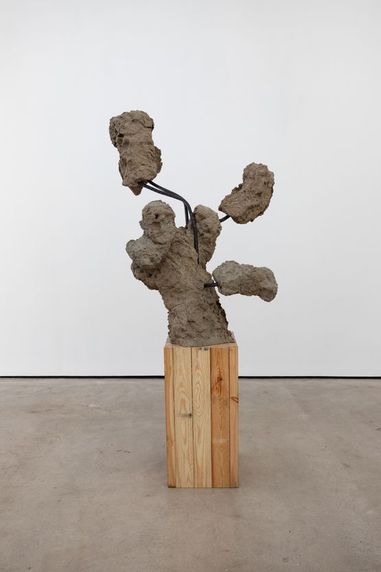 Untitled by Monika Sosnowska contemporary artwork Sculpture