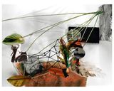 Circumstance by Yamini Nayar contemporary artwork photography