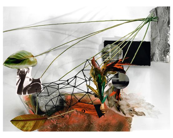 Circumstance by Yamini Nayar contemporary artwork Photography