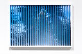 Water-into-aether IV by Megan Jenkinson contemporary artwork photography