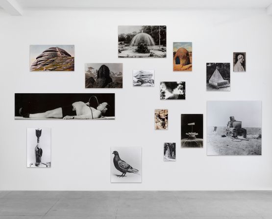 Significant Form Group Three by Tacita Dean contemporary artwork Photography
