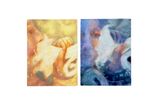 Sweet rhodys Diptych by Sophie Smorczewski contemporary artwork painting