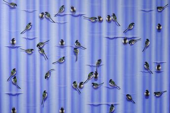 Haiyun Jung contemporary artist