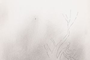 Shen Ling